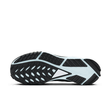 Sneakers og sko Nike Pegasus Trail 4 GORE-TEX Grå | DJ7929-005, 4