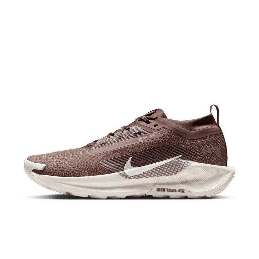 Sneakers og sko Nike Pegasus Trail 5 GORE-TEX SP Brun | HQ7494-200