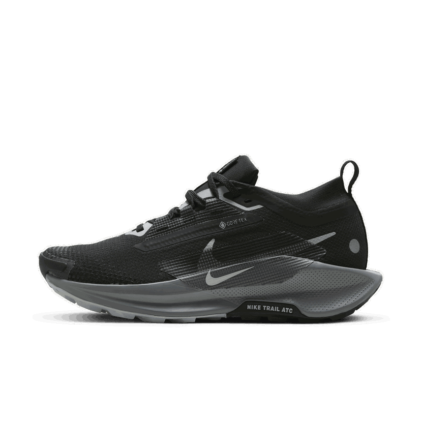 Løbe Nike Pegasus Trail 5 GORE-TEX Sort | FQ0912-001