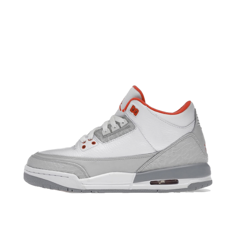 Sneakers og sko Jordan Jordan 3 Retro Grå | 441140-101