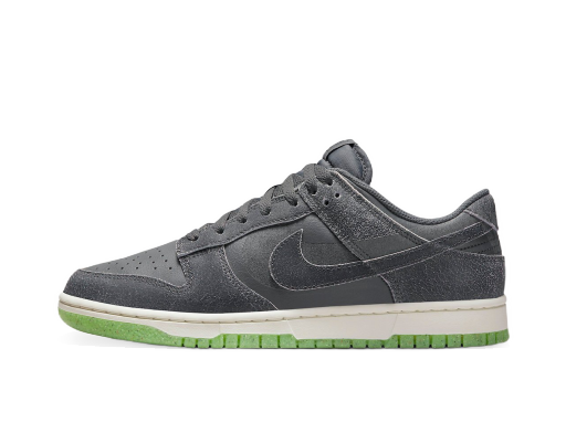 Sneakers og sko Nike Dunk Low "Iron Grey" Grå | DQ7681-001
