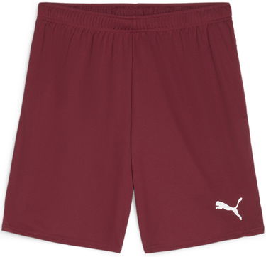 Shorts Puma teamGOAL Shorts Bourgogne | 705752-09, 0