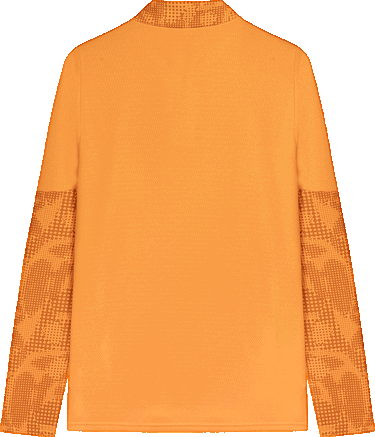 T-shirt Puma Galatasaray SK Training 1/4 Zip Top Orange | 782887-06, 1