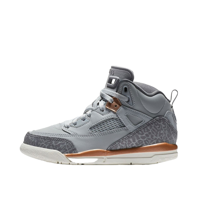Sneakers og sko Jordan Jordan Spizike Grå | 535708-018