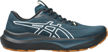 Sneakers og sko Asics GT-2000 14 TR Blå | 1011c129-300, 0