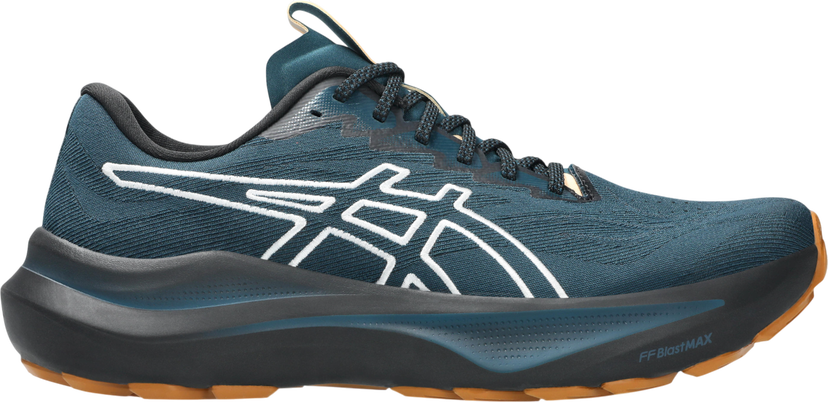 Sneakers og sko Asics GT-2000 14 TR Blå | 1011c129-300