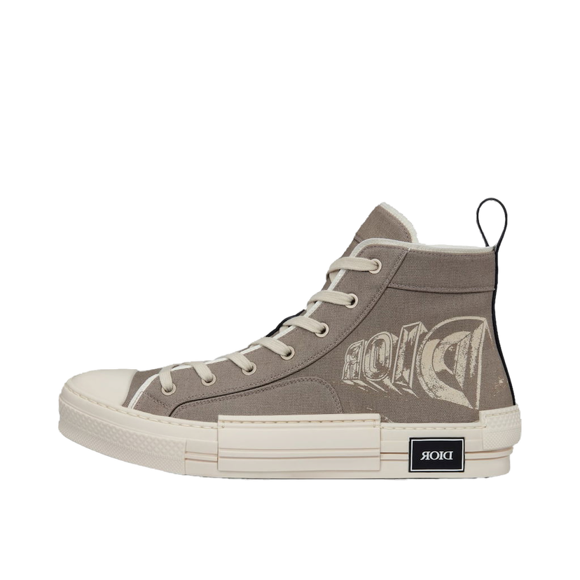 Sneakers og sko Dior B23 High Top Astero Grå | 3SH126ZYE_H717