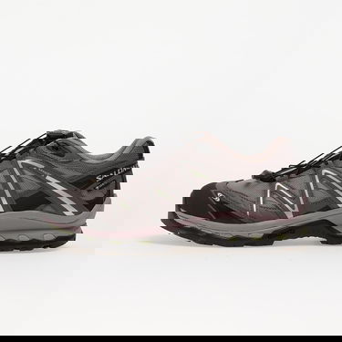 Sneakers og sko Salomon XT-Quest Gore-Tex Grå | L49127700, 0