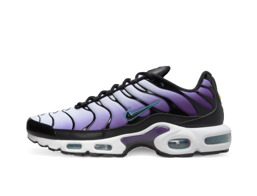 Sneakers og sko Nike Air Max Plus "Reverse Grape" Lilla | FQ2415-500