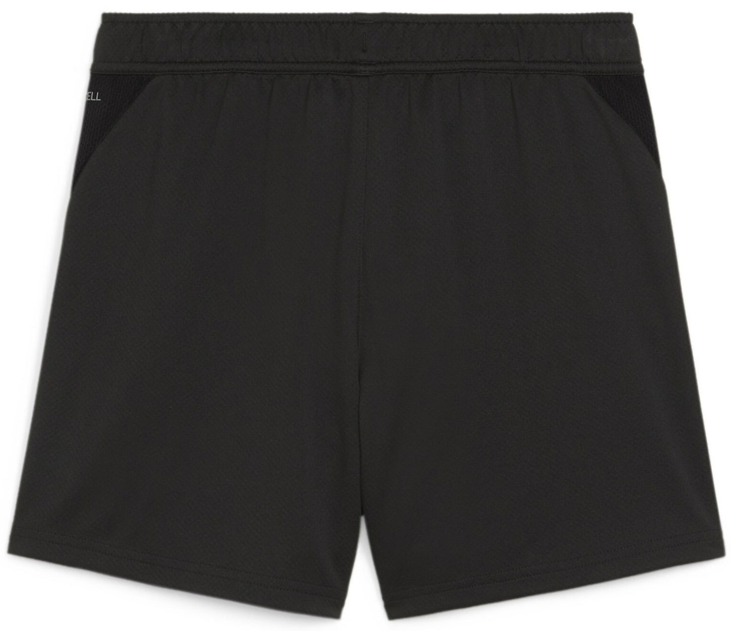 Shorts Puma teamGOAL Training Short Wmns Sort | 658645-03, 1