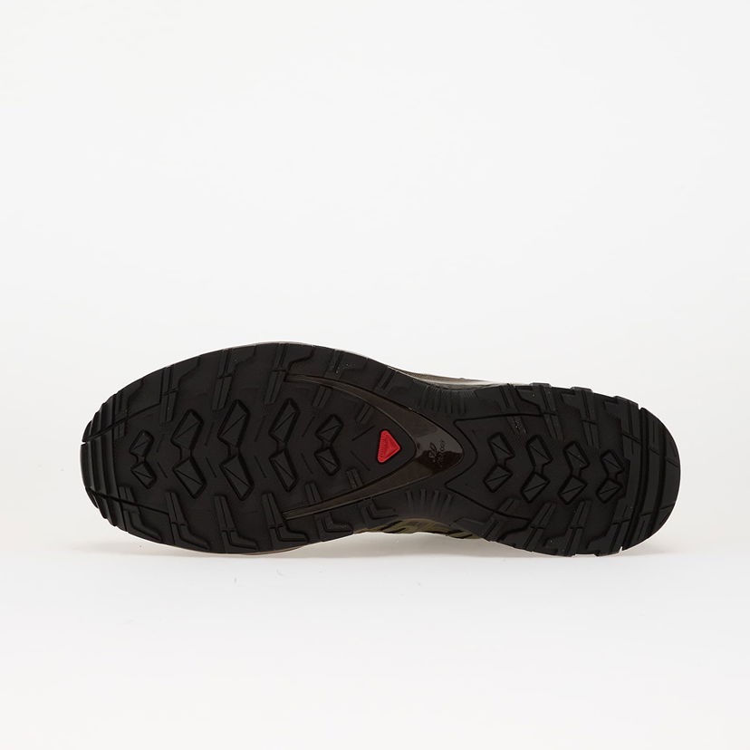 Sneakers og sko Salomon XA Pro 3D GTX Grøn | L47867900