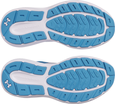 Sneakers og sko Under Armour Charged Rogue 5 Hvid | 3028262-101, 2