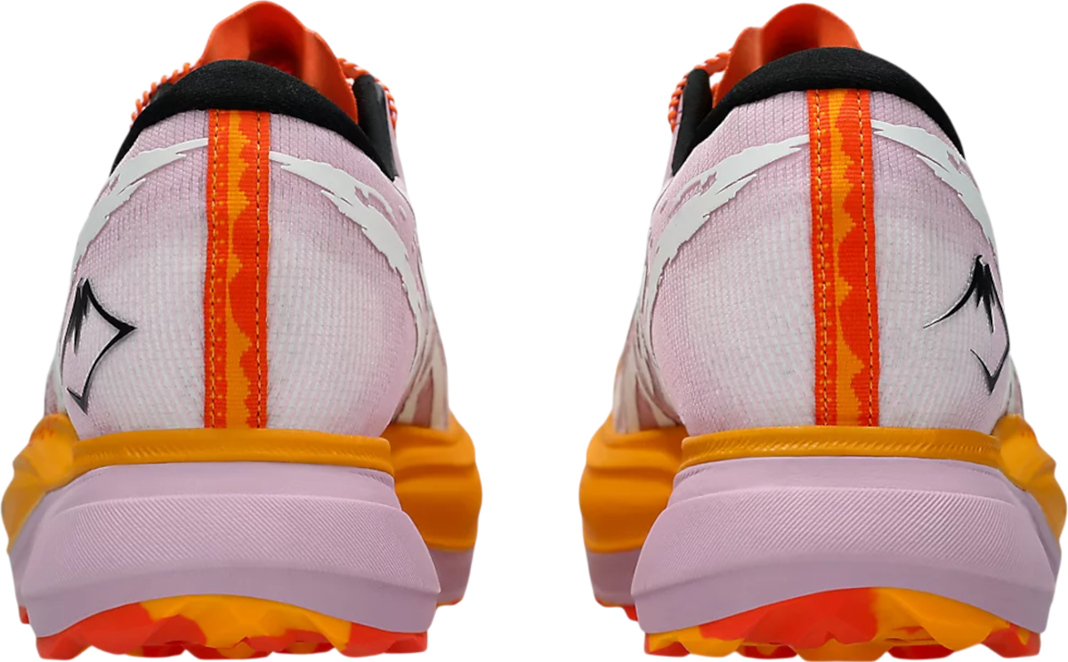 Sneakers og sko Asics METAFUJI TRAIL Flerfarvet | 1013a141-700, 1