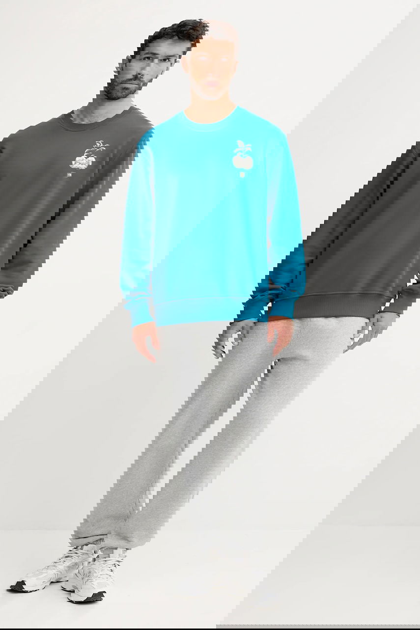 Sweatshirt The North Face Connect Relaxed Fit Crewneck Sweatshirt with Grow Your Own Way Graphic Print Turkis | NF0A8E3ZBSI1, 1