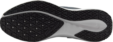 Sneakers og sko Nike Pegasus 41 GORE-TEX Sort | fq1356-002, 4