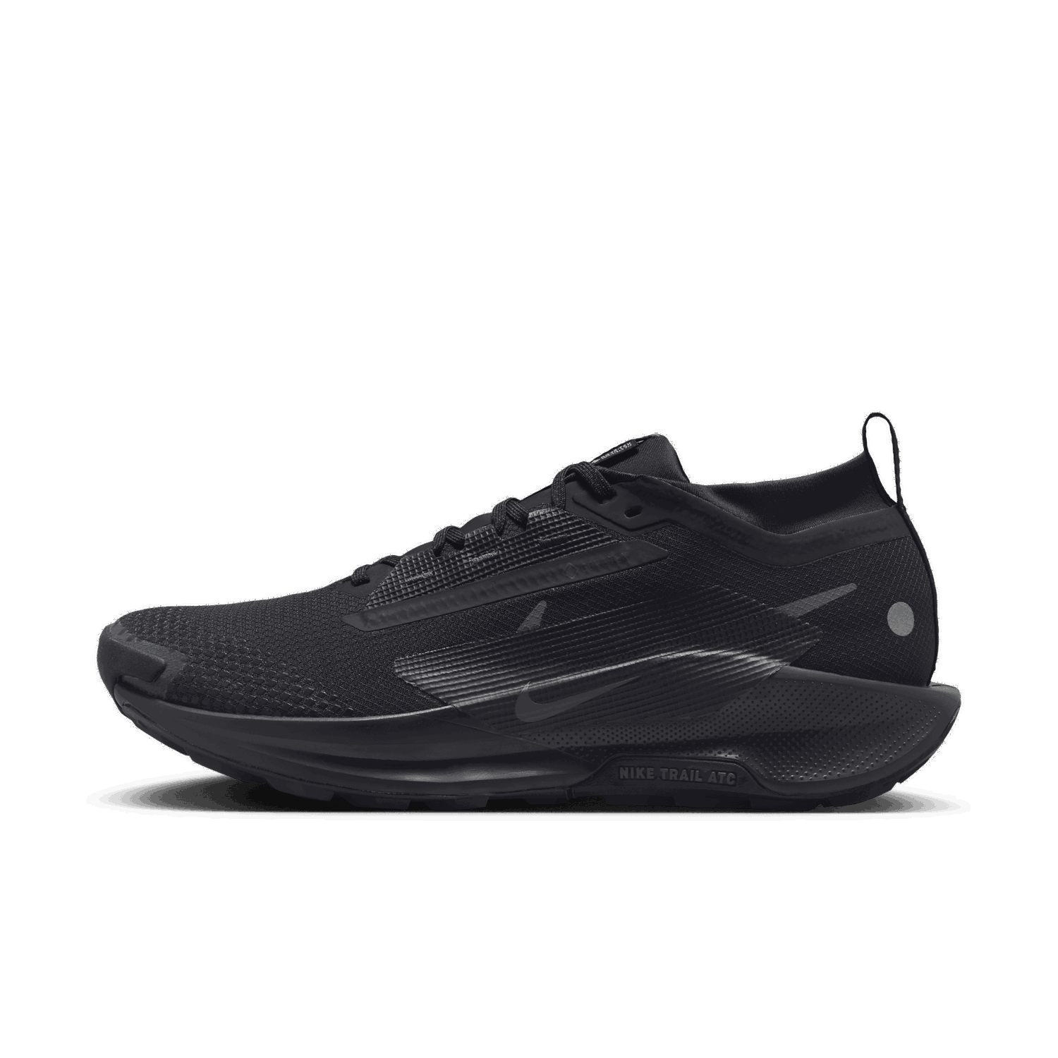 Sneakers og sko Nike Pegasus Trail 5 GORE-TEX Sort | FQ0908-002, 0