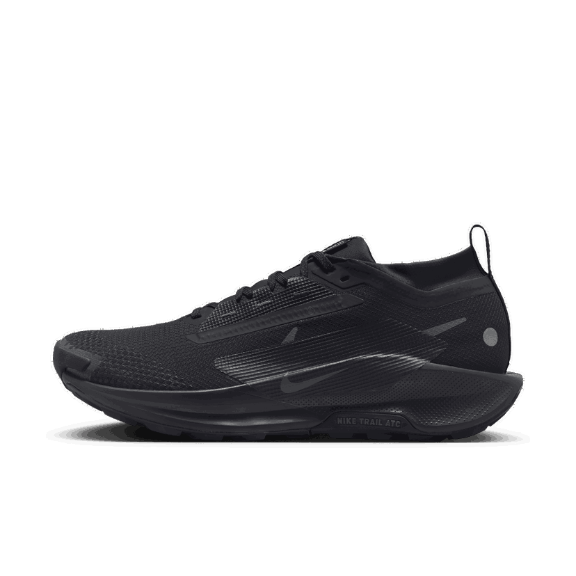 Løbe Nike Pegasus Trail 5 GORE-TEX Sort | FQ0908-002