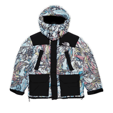 Parka Supreme The North Face x 700-Fill Down Parka Flerfarvet | FW22J6 MULTICOLOR DRAGON, 0