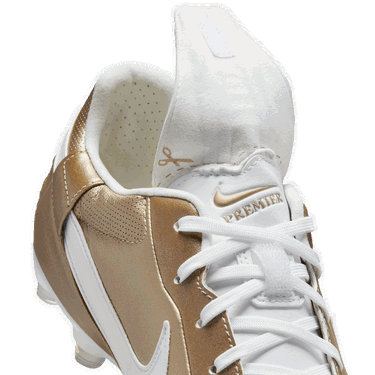 Sneakers og sko Nike Premier III FG Metalisk | at5889-200, 6
