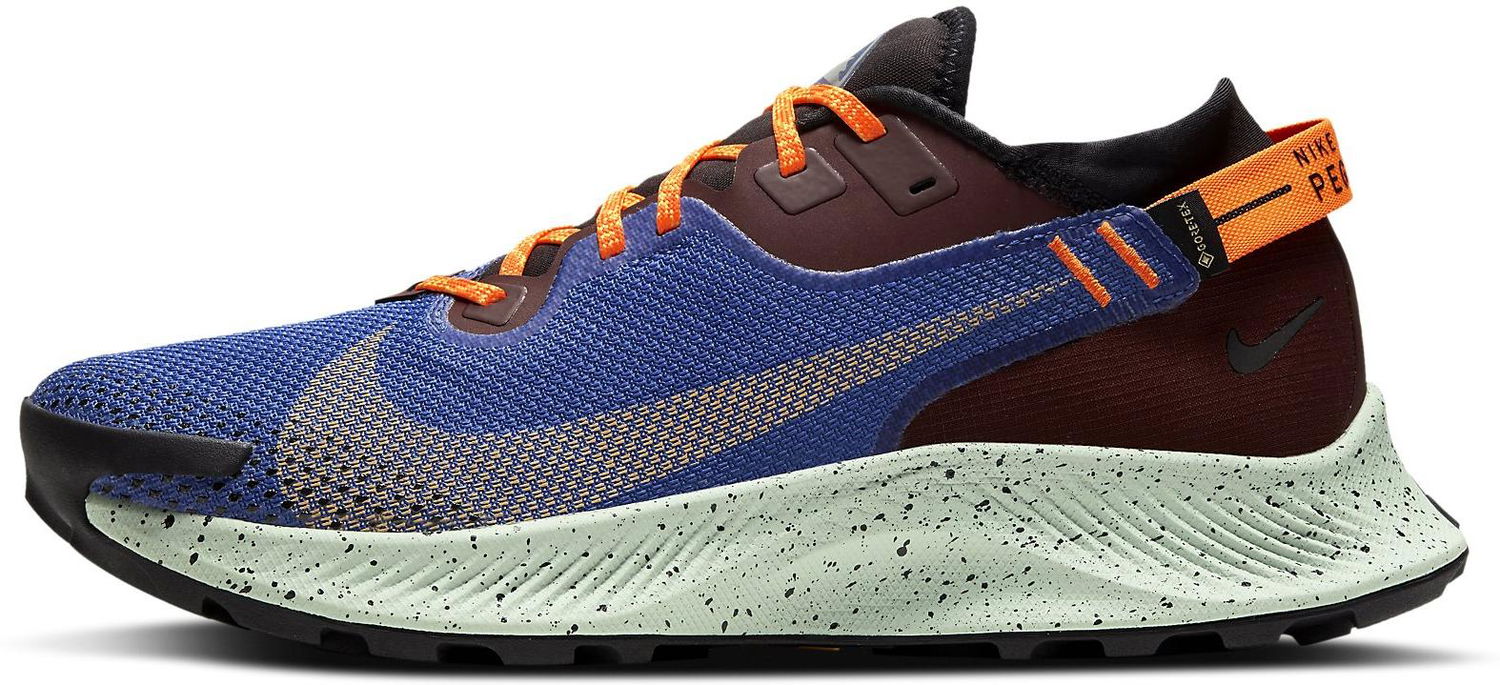 Sneakers og sko Nike Pegasus Trail 2 GTX Blå | cu2016-600, 0