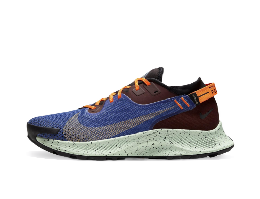 Løbe Nike Pegasus Trail 2 GTX Blå | cu2016-600