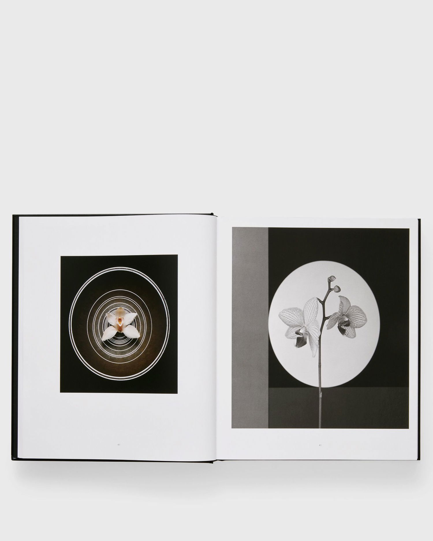 Tøj og tilbehør Phaidon Robert Mapplethorpe Sort | 9781838668211, 1