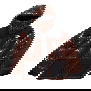 Parka Supreme The North Face x 700-Fill Down Parka Brun | FW22J6 BROWN, 1