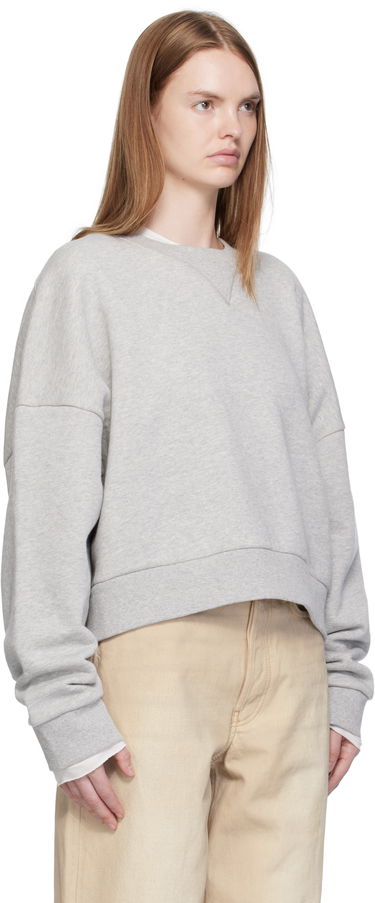 Sweatshirt Entire Studios Entire Studios Box Crew Sweatshirt Grå | ES2126SI, 4