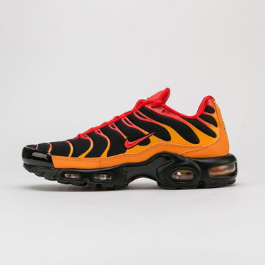 Sneakers og sko Nike Air Max Plus Flerfarvet | DA1514-001, 0