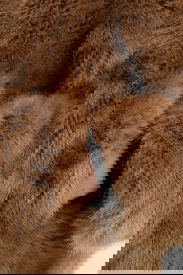 Frakker STAND STUDIO Halle Faux Fur Coat Brun | 62267.9416, 5