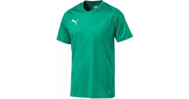 Jersey Puma Liga Core Jersey Grøn | 703509-05, 1