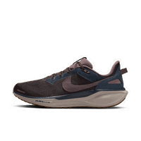 Air Zoom Pegasus 41 "Black Tea & Dark Obsidian"