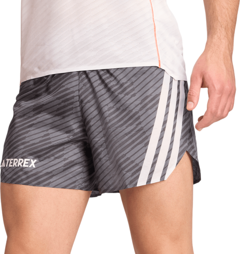 Shorts adidas Performance Terrex Techrock Shorts Grå | jw5318