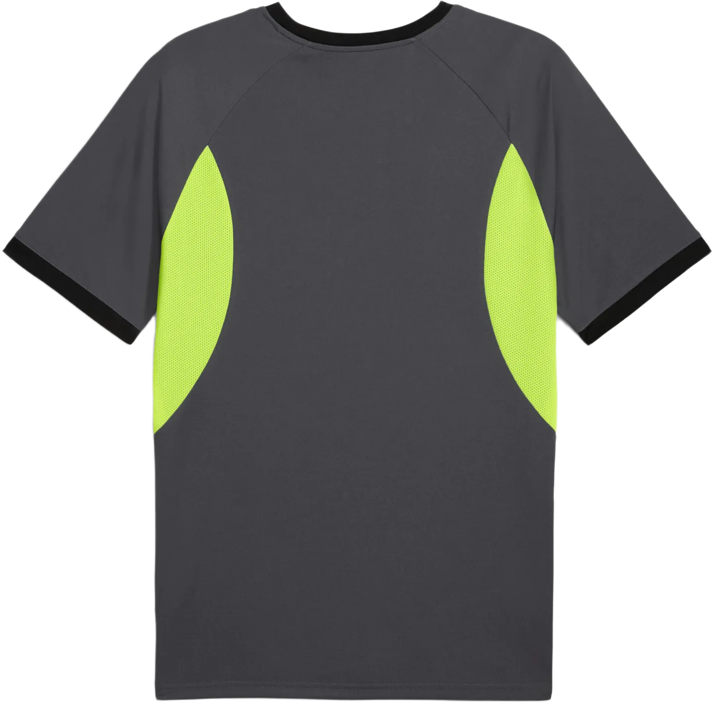 Jersey Puma Puma IndividualLiga Jersey Grå | 659526-08, 1