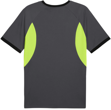 Jersey Puma Puma IndividualLiga Jersey Grå | 659526-08, 1