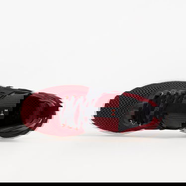 Sneakers og sko Under Armour Project Rock 4 Rød | 3023695-600, 2