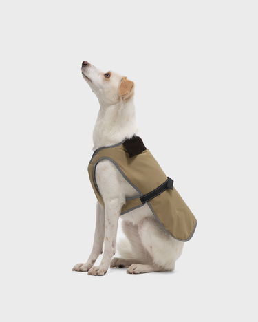 Frakker Barbour Barbour Dog Monmouth Corduroy Collar Coat Beige | DCO0045BE71, 2