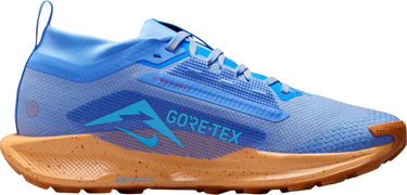 Sneakers og sko Nike Pegasus Trail 5 GORE-TEX Blå | fq0912-401, 2