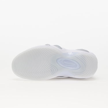 Sneakers og sko Nike Air Zoom Flight 95 "Football Grey" Grå | DV0820-100, 4