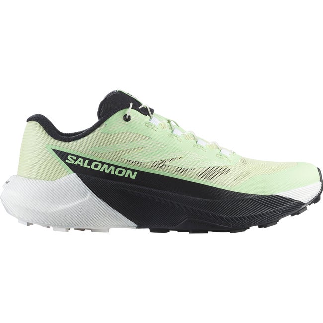 Sneakers og sko Salomon Pulsar Grøn | L47973600