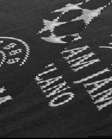 T-shirt Slam Jam Slam Jam Champions Graphic T-Shirt Sort | SJPRCHAMP BLK, 4
