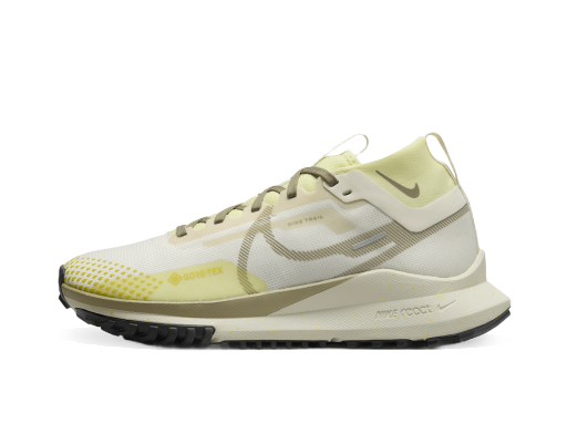 Sneakers og sko Nike trailové Pegasus Trail 4 GORE-TEX Grå | DJ7929-101