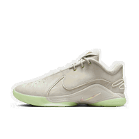 LeBron XXII