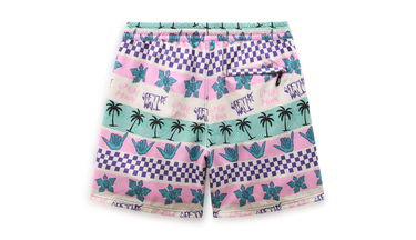 Shorts Vans Stranger Things x California Stripe Vollyshort Flerfarvet | VN0007RUPNK, 2