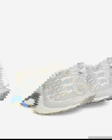 Sneakers og sko Salomon XT-Pathway 2 Grå | L47808100, 2