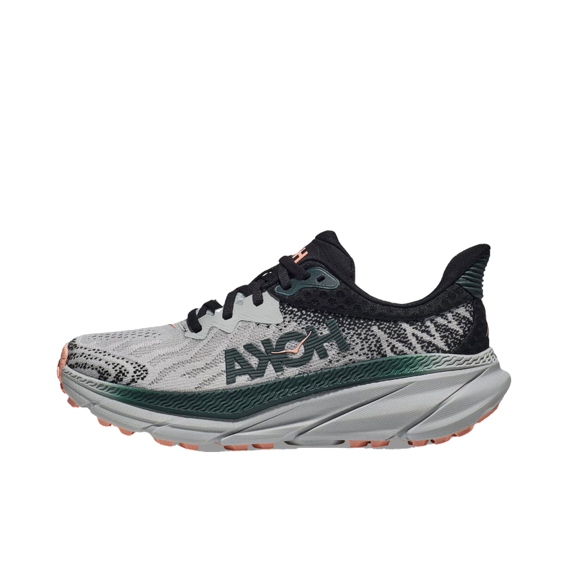 Løbe Hoka One One Challenger ATR 7 Harbor Mist Spruce Grå | 1134498-HMSP