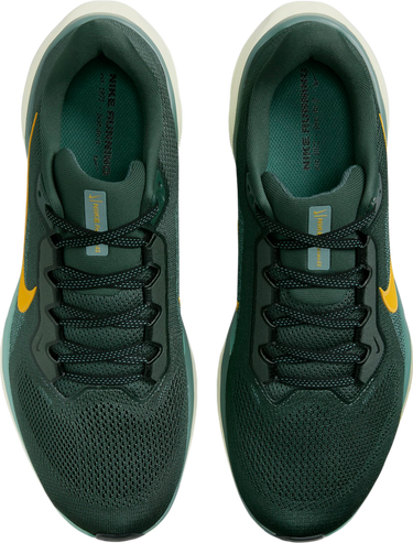 Sneakers og sko Nike Pegasus 41 Grøn | fd2722-301, 3