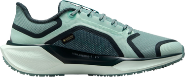 Sneakers og sko Nike Pegasus 41 GORE-TEX Turkis | fq1357-003, 3