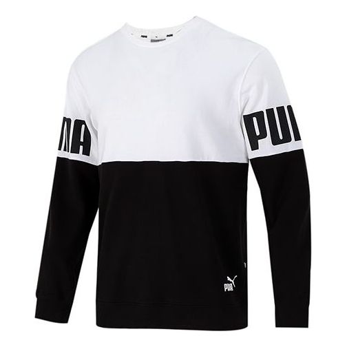 Sweater Puma PUMA Colorblock Alphabet Pullover Flerfarvet | 847722-02