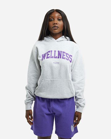 Sweatshirt Sporty & Rich Wellness Ivy Hoodie Grå | HO431HG, 0